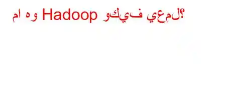 ما هو Hadoop وكيف يعمل؟